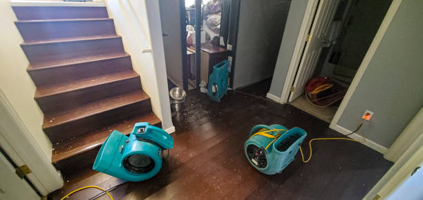 Best Residential water damage restoration  in Gleason, TN
